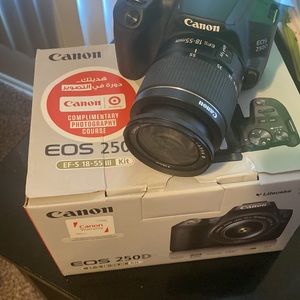 E05 250 D Canon with 256GB Sandisk & Camera carrier